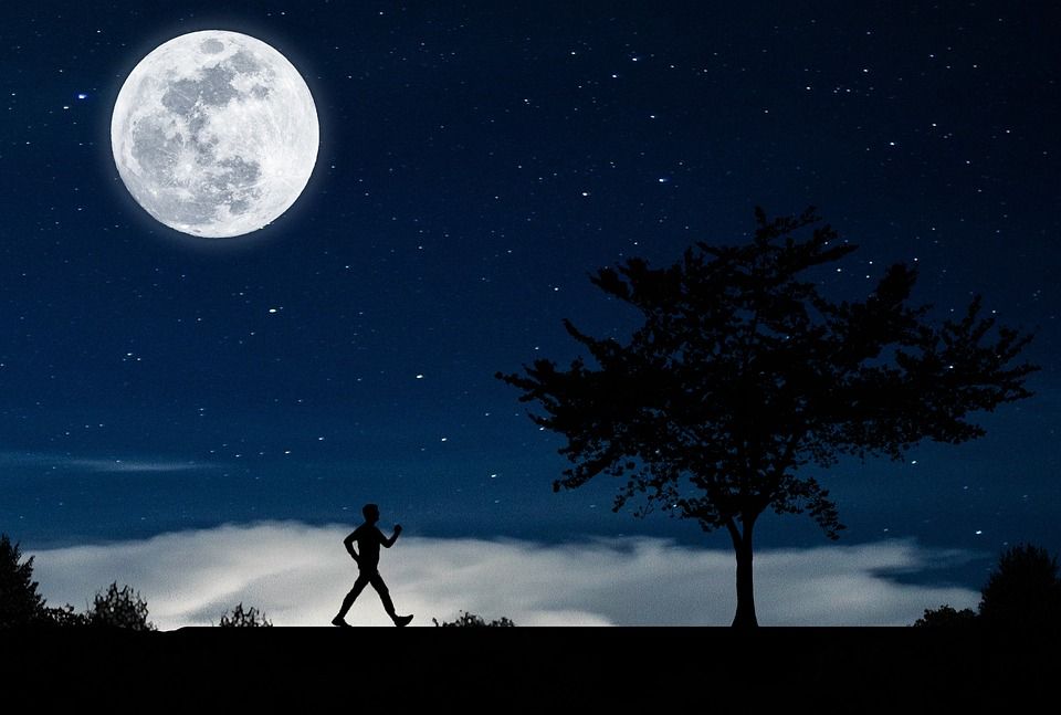 月亮, 树, 夜晚, 星空, 轮廓, 景观, 月光, 气氛, 大气