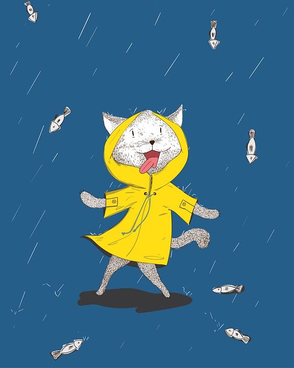 鱼 猫 雨 涂鸦 下雨 雨衣 猫科动物 画画 数字绘图 卡通画