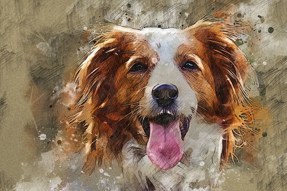 狗, 犬类, 头, 肖像, 油画, 创造力, 艺术品, 动物, 哺乳动物