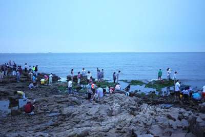 大海 清晨 游人