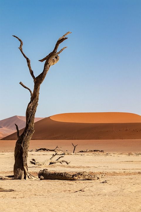 纳米比亚 沙漠 沙 沙丘 丘 Sossusvlei 撒哈拉 干燥