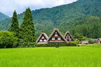 日本 景观 日本人 地标 山 树 旅游 季节 旅行 亚洲