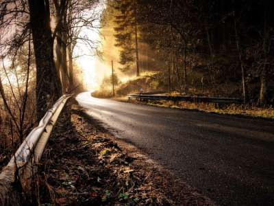 路 森林 阳光 阴霾 玄光 布朗森 棕色的道路 棕色的阳光