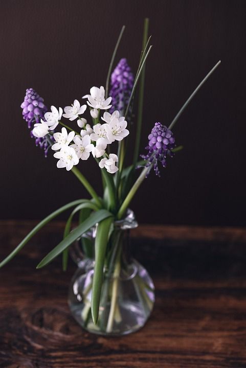 花 投标 春天的花朵 静物 小花 开花 白色的 花瓶 装饰