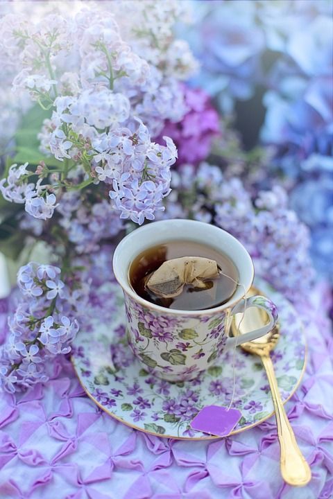 茶 下午茶时间 丁香 紫丁香 紫色的 春天 夏天 茶碗 喝