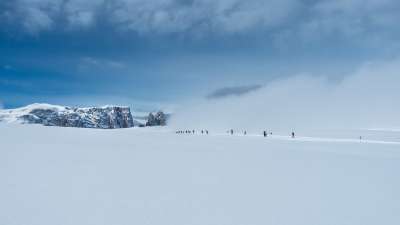 冬季景观 冬天 雪 寒冷的 下雪的 冬季魔法 被雪覆盖 冬梦