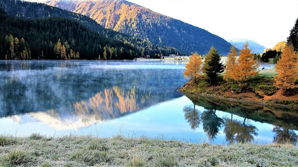 秋山, 湖, 早上, 阴霾, 弗罗斯特, 景观, 树木, 达沃斯, 风景