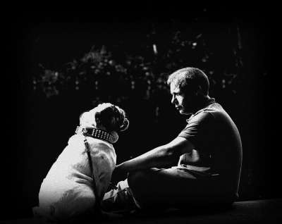 友谊 家畜 斗牛犬 信托 规则 家庭 鼻子 野生动物 毛皮