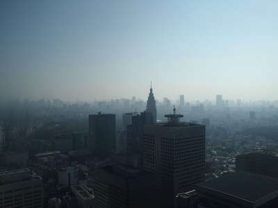 东京 早晨 新宿 阴霾 高层建筑 结构 天际线 城市 城市景观