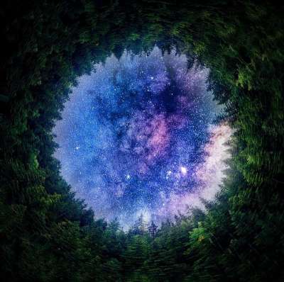 星星 星系 森林 树木 天空 星空 银河 空间 冷杉 自然