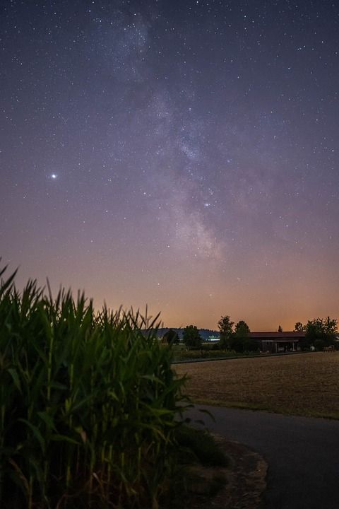 星星 星空 夜晚 天空 宇宙 星系 夜空 景观 自然 叶子