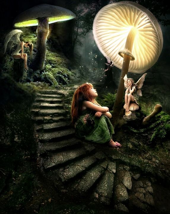 幻想 仙女 蘑菇 天使 翅膀 女孩 楼梯 神秘 神奇 光