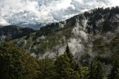 薄雾 山 冷杉 树木 阴霾 远足 多雾路段 山脉 景观 自然