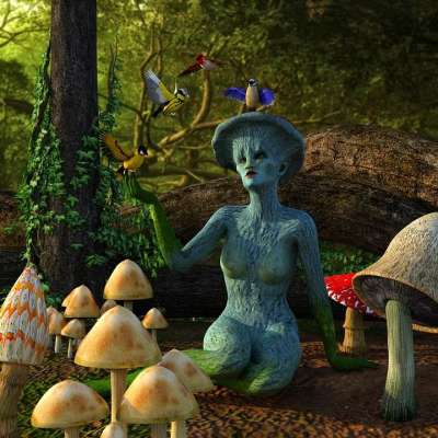 蘑菇 幻想中的生物 童话 森林 女士 苔藓 蘑菇采摘 树蘑菇