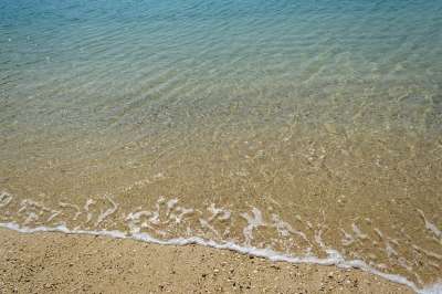 海绵 海浪 海滩 大海 泡水 泡沫的褶边 美丽的海滩