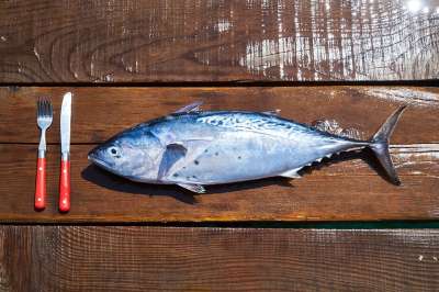 鱼 新鲜的 食物 抓住 猎人 鱼竿 海 煮过的 健康 美味的