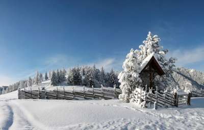 冬天 雪 下雪的 景观