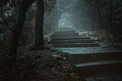 Mysterious Fog Path 森林 雾 石板路 小径