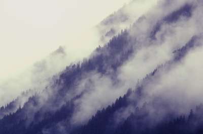 加拿大 森林 多雾路段 云 树木 景观 自然 荒野 山 天堂