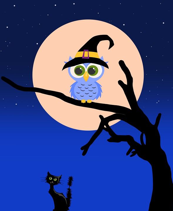 猫头鹰 猫 死树 万圣节 星星 夜晚 幻想 数字艺术 背景