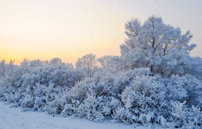 雪 冬天 景观 分行 草 多雾路段 河 水 冰 日落