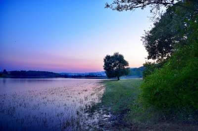 自然 那 户外的 天空 夏天 蓝色的 背景 看法 草 绿色