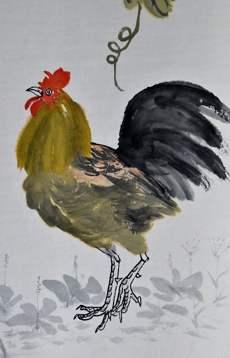 公鸡 中国画 绘画 动物 鸡 中国人 画画 羽毛 鸟