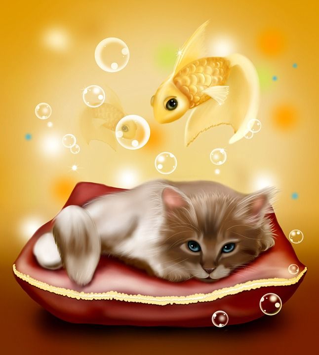 小猫 鱼 背景 插图 孩子们 幽默 设计 动物 童话故事