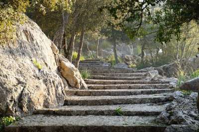 小路 楼梯 远足 自然 景观 爬山径 马略卡岛 上升 石楼梯