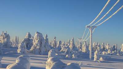 拉普兰 冬天 雪 冬季景观 芬兰 寒冷的 下雪的 雪景