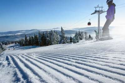 滑雪道 冬季 雪 冷 弗罗斯特 冻结 阿尔卑斯山 树木 山