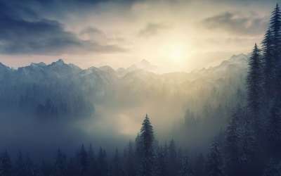 大自然壁纸 自然壁纸 高清壁纸 山 森林 多雾路段 暮 日落