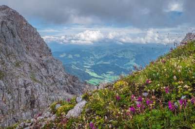 景观 山 草地 天堂 萨尔茨堡州