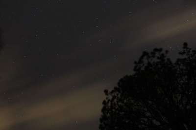明星 天空 夏天 景观 星空 地平线 黑暗的 夜晚 背景