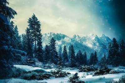 生成的Ai 幻想 景观 雪 冬天 远景 树森林 山 户外 树木