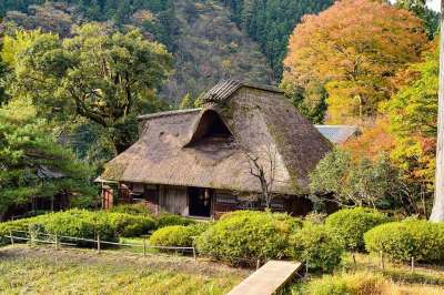 日本 景观 日式 老民居 茅草屋顶 秋季树叶 日本景观 日式