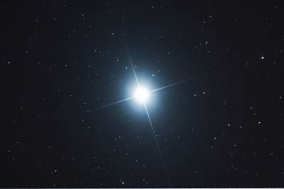 天狼星 星星 大狗 杰出的 天空 闪烁 天狼星 天狼星 天狼星