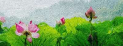 花的 狭窄的 春天 绘画 艺术 画画 荷花 池塘 青春 绿水