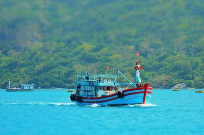 船 森林 海 渔船 岛 海洋
