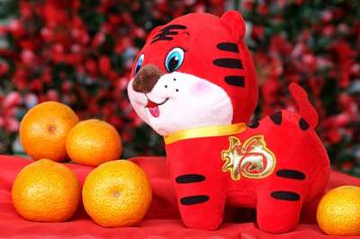 老虎娃娃 橙子 中国新的一年 水果 红色的老虎 桔 传统的 中国人