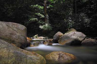 巨石 夏时制 落下 景观 树叶 自然 户外 放松 河 岩石