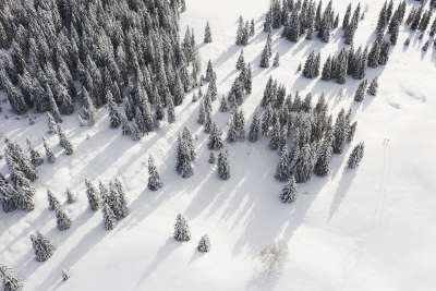 山 树木 森林 雪 寒冷的 冬天 自然 瑞士 户外 全景