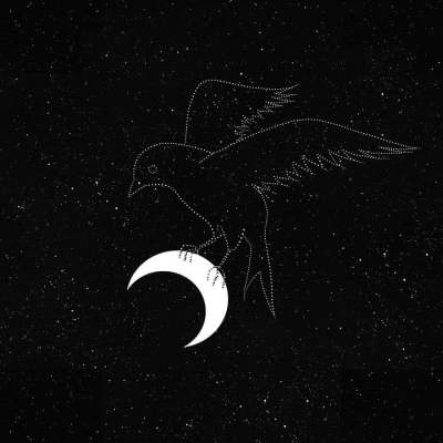 鸟 星星 翅膀 月亮 宇宙 繁星点点 星系 空间 夜晚 卡通片