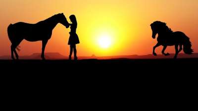 日落 马 年轻女子 自然 景观 天空 剪影 夏天 人们 黄昏