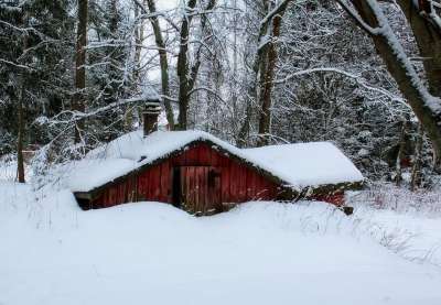 芬兰 景观 风景秀丽的 舱 小屋 房子 下雪了 冬天 雪 森林