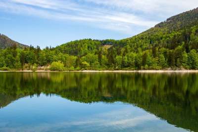 景观 湖 自然 水 安静的 高山湖泊 Schwarzensee