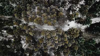 自然 树木 户外 森林 无人机 景观 雪 冬天 鸟瞰视图 背景