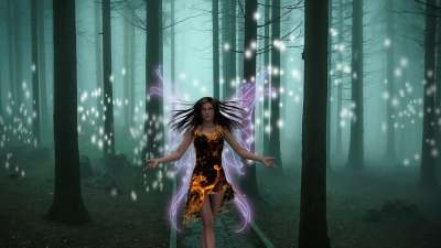幻想 景观 仙女 女士 森林 幻想风景 树木