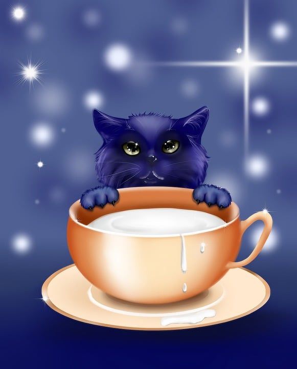 小猫 插图 故事 设计 动物 卡片 我的小猫 浪漫 爱