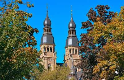 Speyer 教会 结构 建造 历史的 宗教 自然 树木 落下